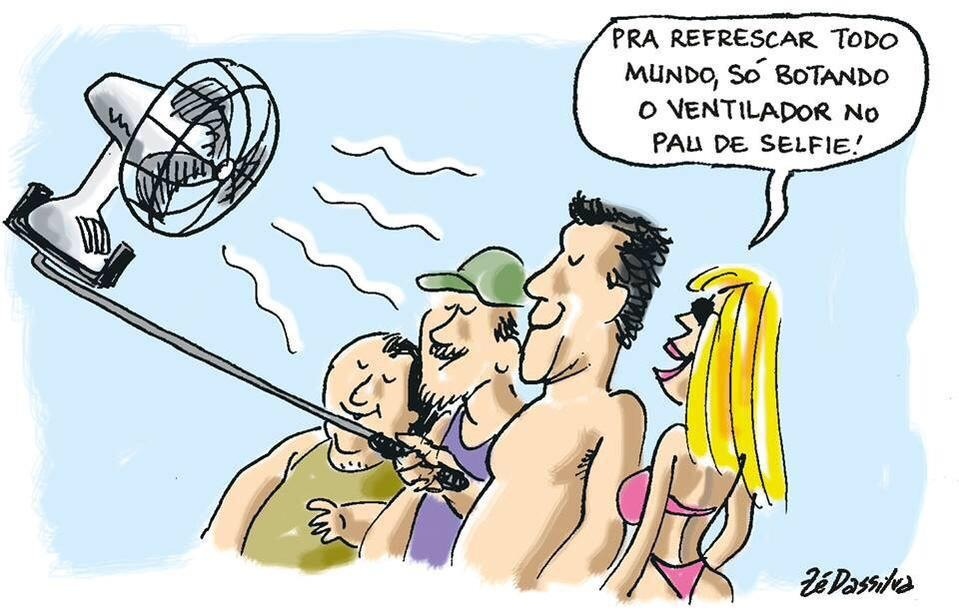 Charges de pau de selfie de verão