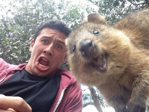 Esquilo também tira selfie!