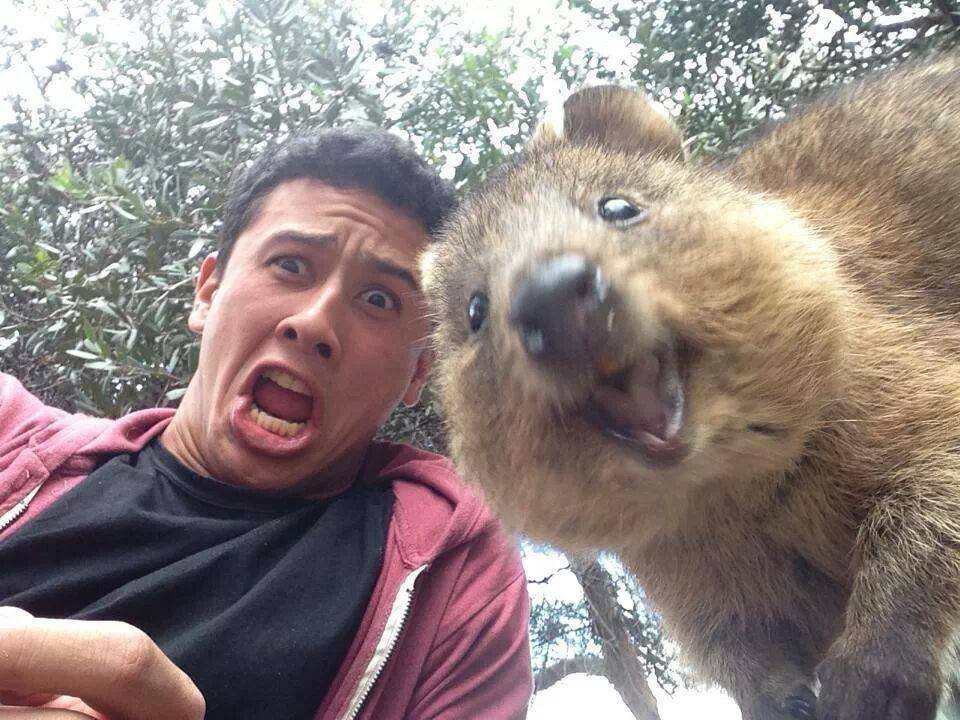 Esquilo também tira selfie!