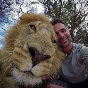 Selfie com um leão!