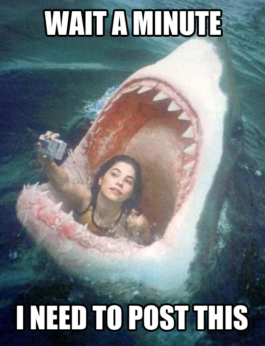 Selfie do tubarão