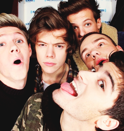 Caretas em selfie do One Direction!