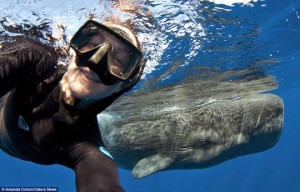 Selfie em mergulho!