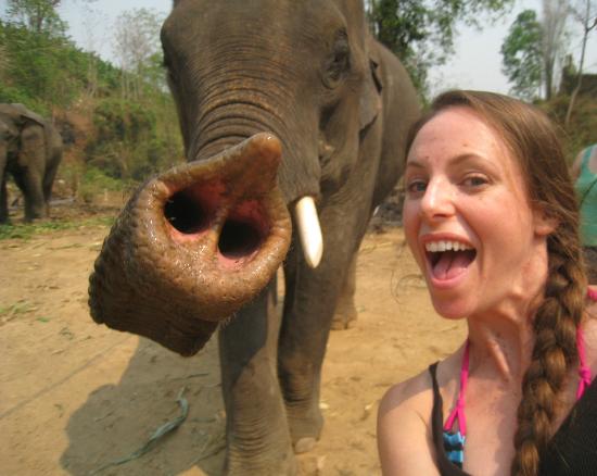 Selfies animais! Na tromba do elefante!