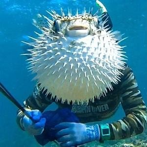 Selfie cabeça de peixe!