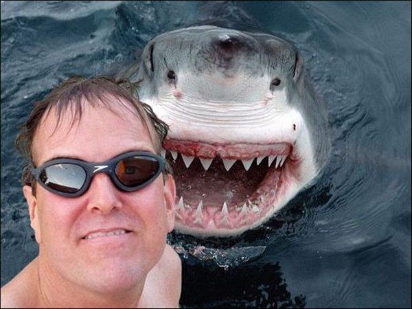 Selfie com tubarão!