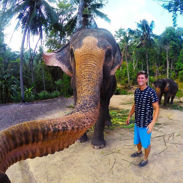 Selfie do elefante!